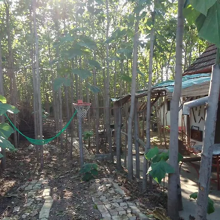 Retro House * Bečej