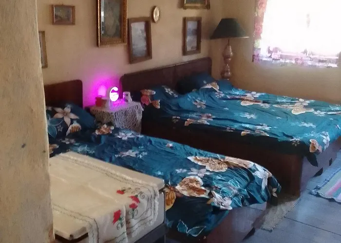 Retro House Lägenhet Bečej